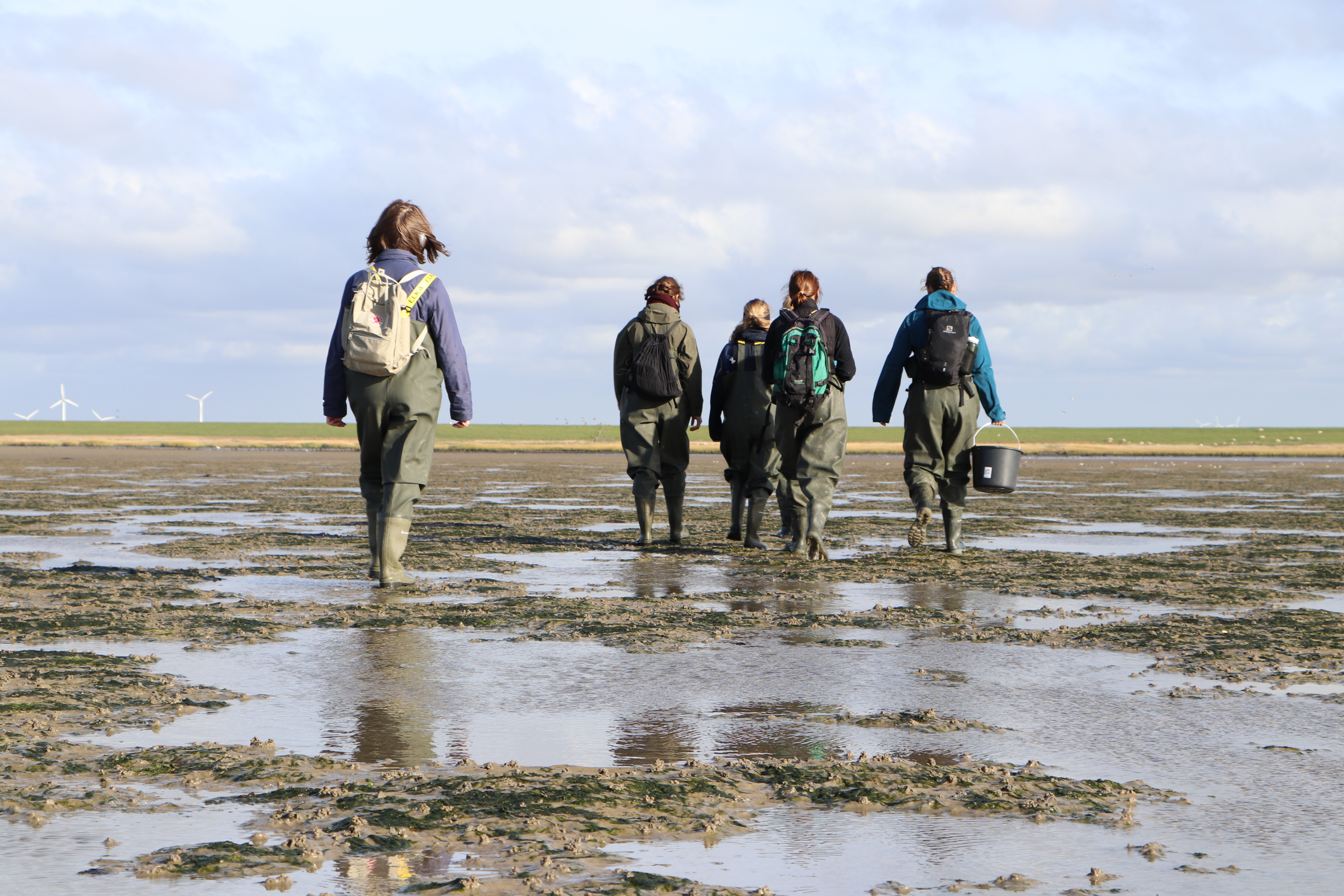 Unge laver mad med vilde urter og r&aring;varer i naturen, l&aelig;ring i b&aelig;redygtighed, permakultur, madlavning og selvudvikling.