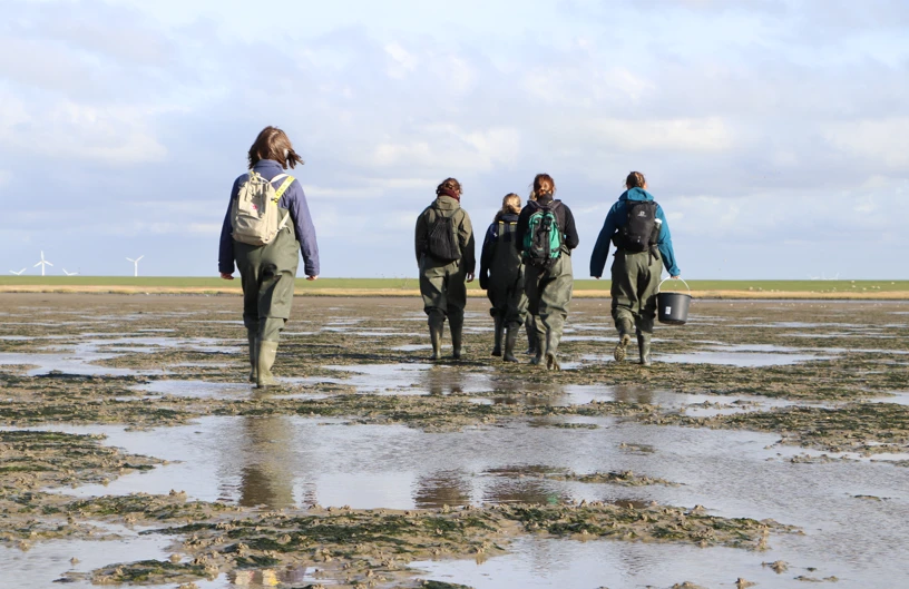 Unge laver mad med vilde urter og råvarer i naturen, læring i bæredygtighed, permakultur, madlavning og selvudvikling.